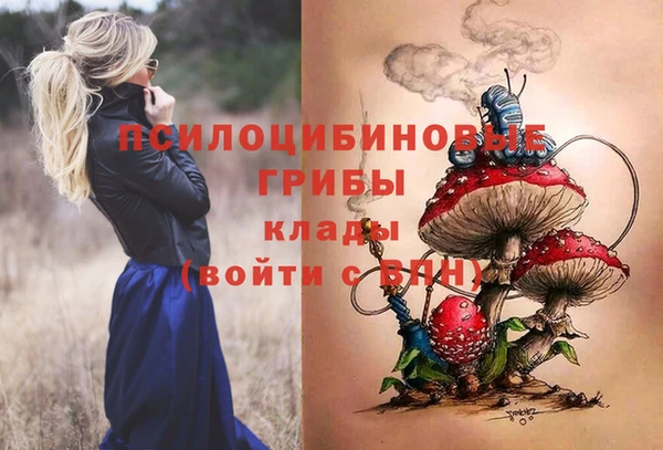 дмт Алексеевка