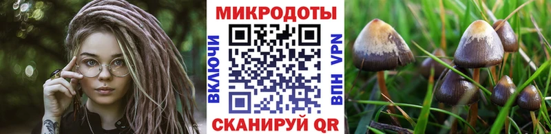 Галлюциногенные грибы Magic Shrooms  где найти   Южно-Сухокумск 